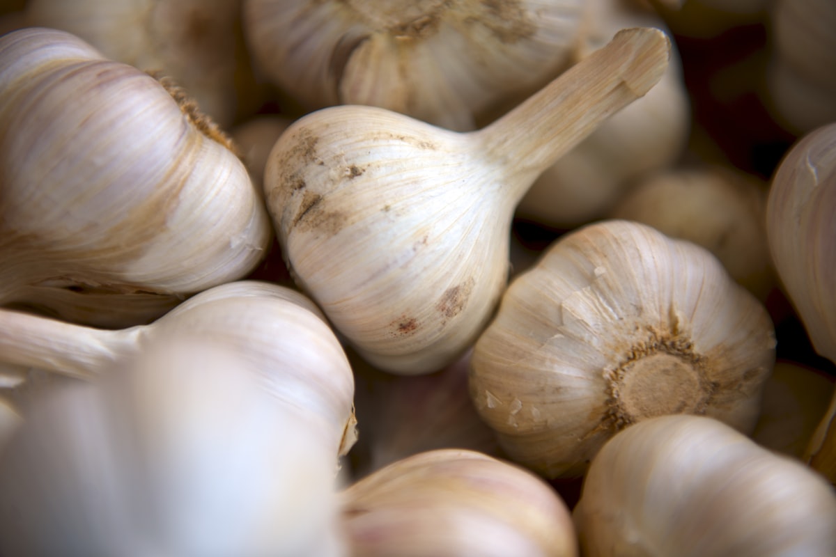 Herbs and spices with potent health properties